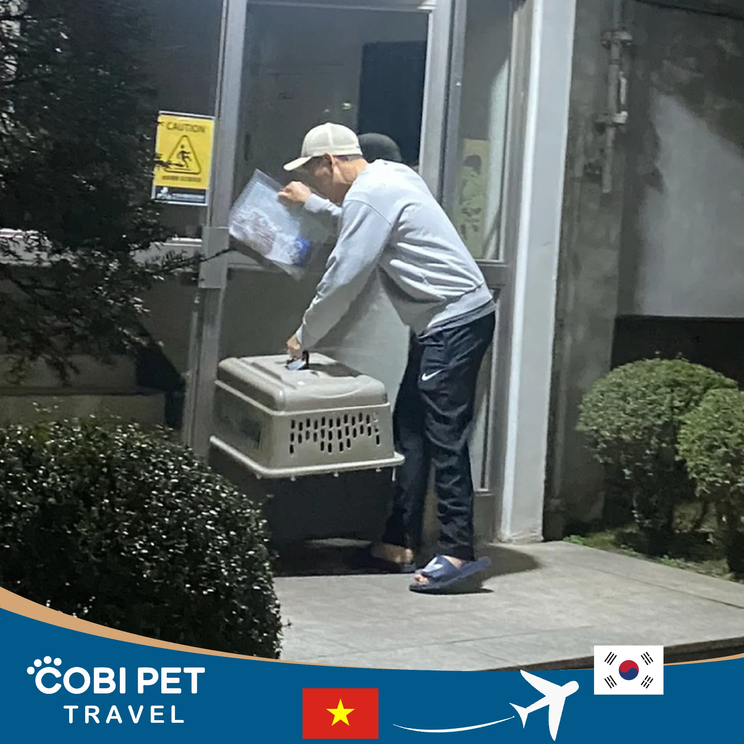 Cobi Pet Travel hỗ trợ đưa Taenggu về nhà
