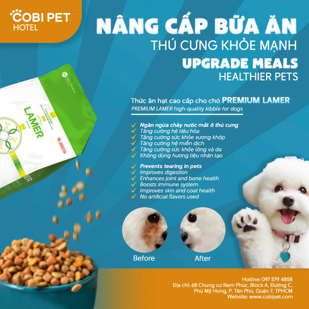 Khách sạn thú cưng - Cobi Pet Hotel nân cấp bữa ăn Premium Lamer cho chó