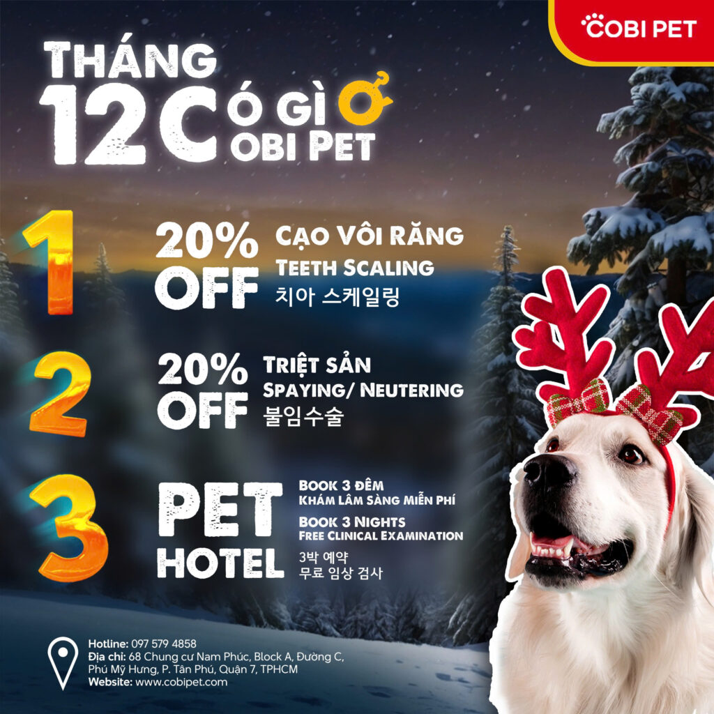 ưu đãi tháng 12 cobi pet hospital & store