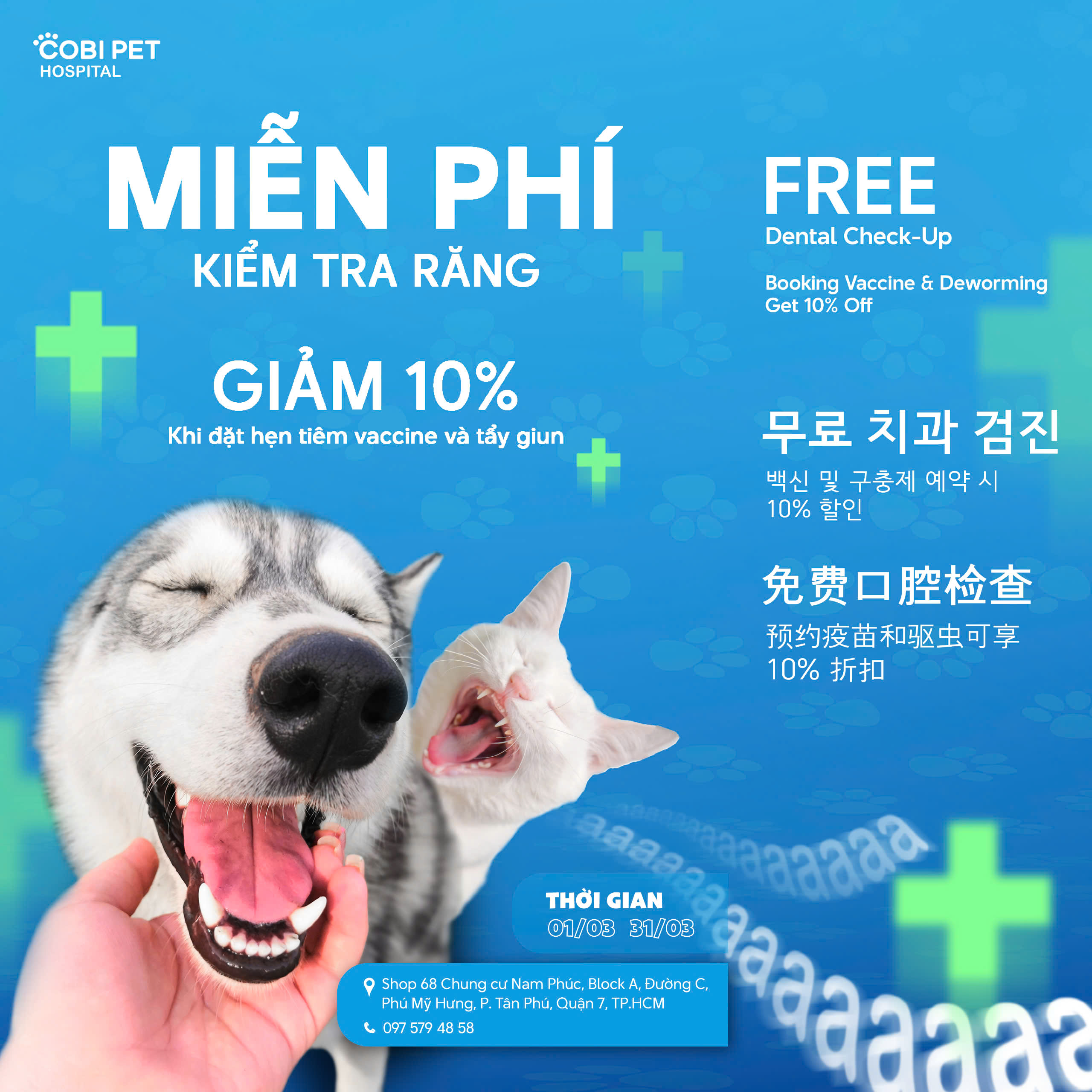 ưu đãi tháng 3, cobi pet hospital