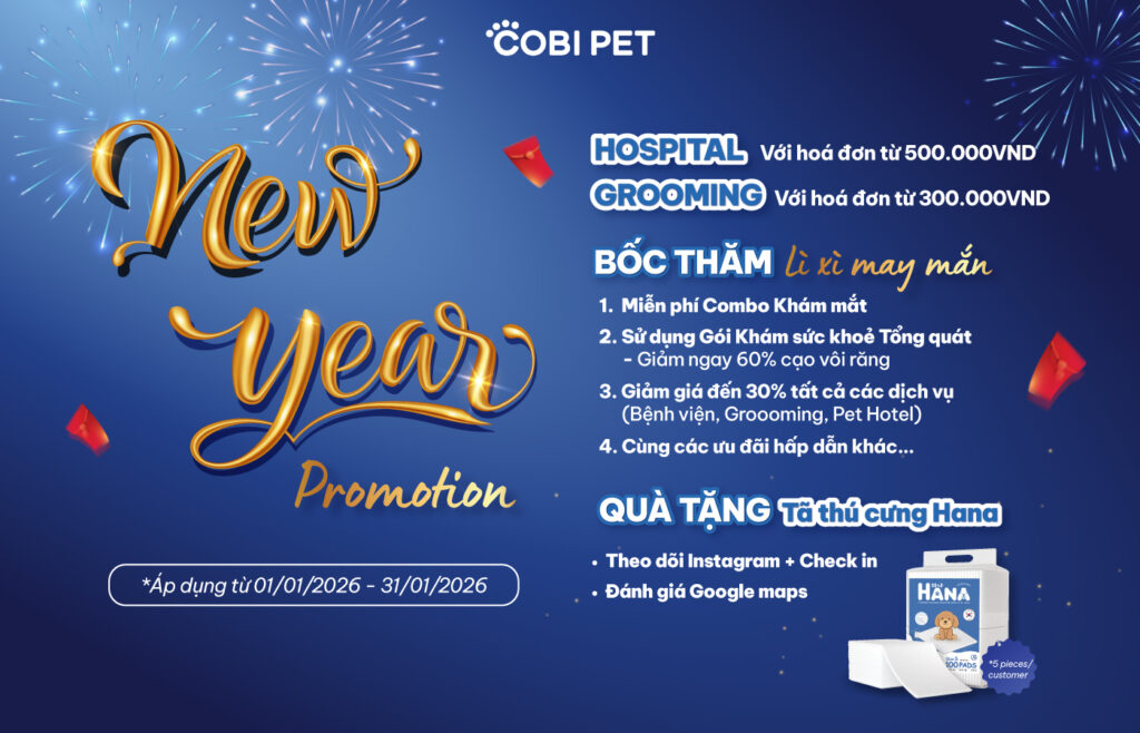 Chương trình bốc quà may mắn ưu đãi chăm sóc thú cưng tại Cobi Pet tháng 1