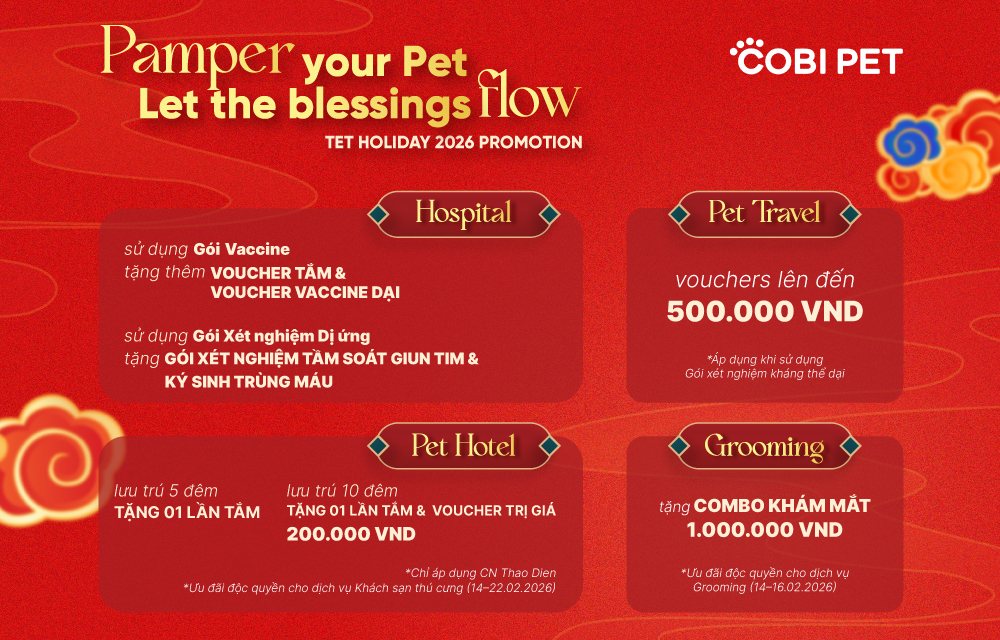 Cobi Pet Tết 2026 với ưu đãi thú y, animal hospital, pet grooming và pet hotel