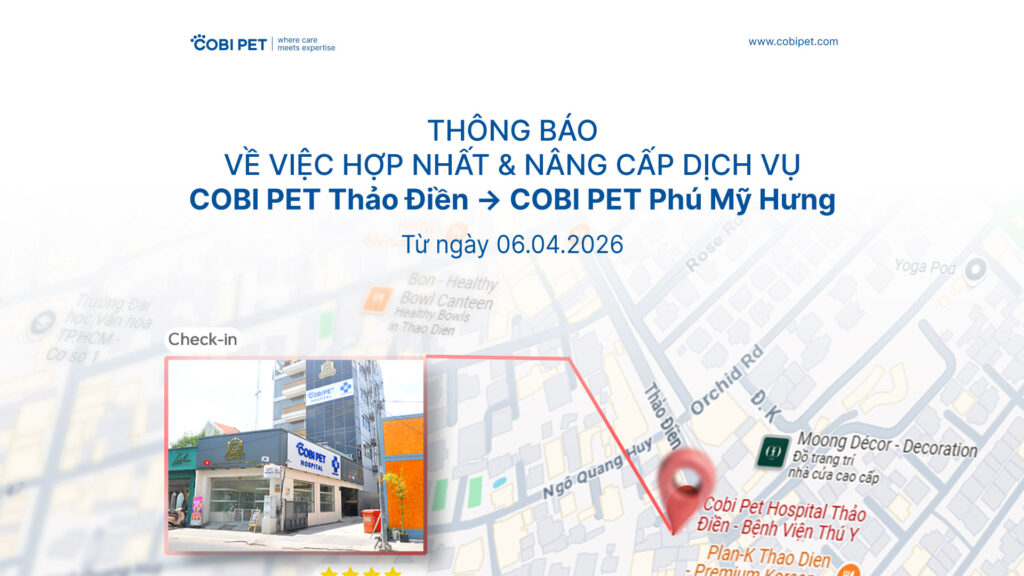 cobi pet thảo điền đóng cửa hợp nhất về phú mỹ hưng bệnh viện thú y 24/7