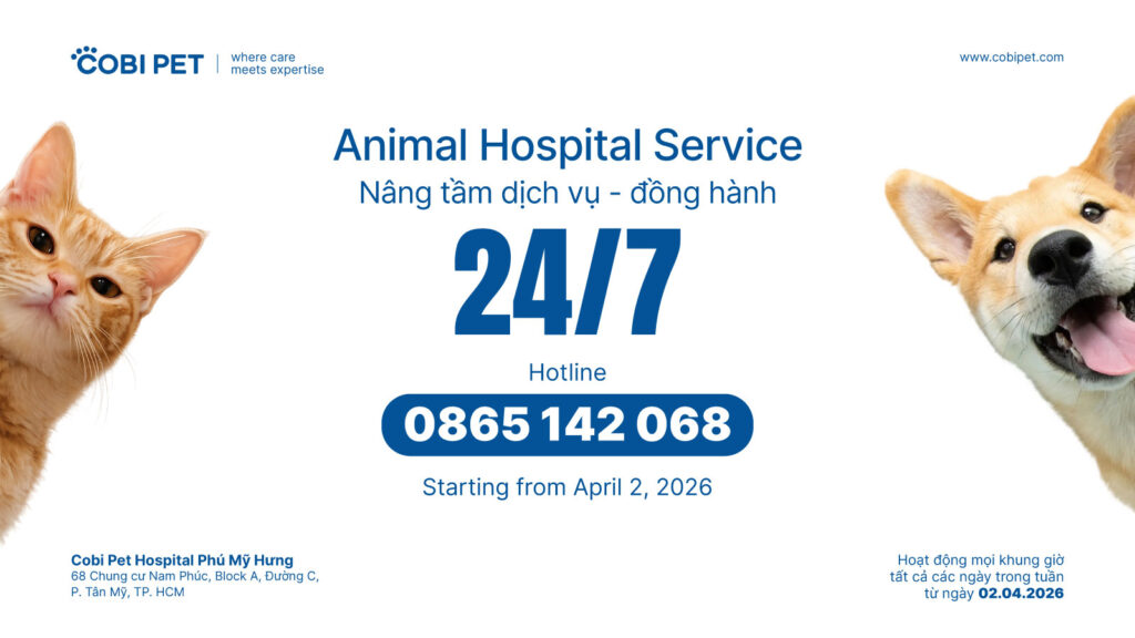 bệnh viện thú y 24/7 Cobi Pet Phú Mỹ Hưng cấp cứu thú cưng