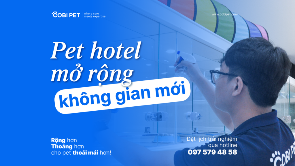 Hình ảnh thông báo mở rộng không gian khách sạn thú cưng Pet Hotel với thiết kế hiện đại và màu xanh thương hiệu.