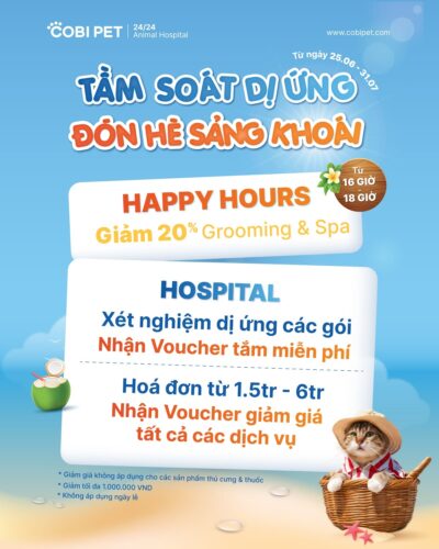 Banner ưu đãi Cobi Pet - Tầm soát dị ứng chó mèo, giảm 20% Grooming Spa và tặng voucher khám chữa bệnh thú cưng.